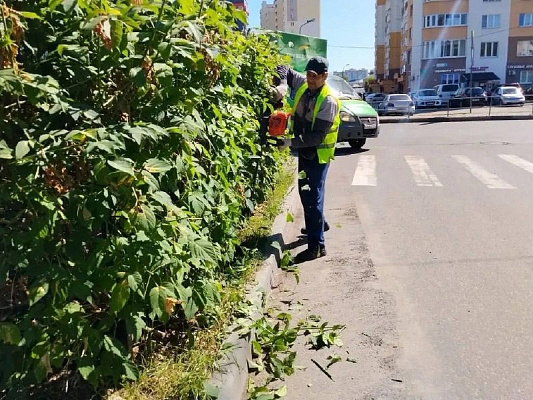 🌿 В Ивантеевке проходит субботник! Силами местных коммунальных предприятий сразу на нескольких территориях ведутся работы по благоустройству. Сегодня специалисты работают: 🔘на Ивантеевском шоссе; 🔘…