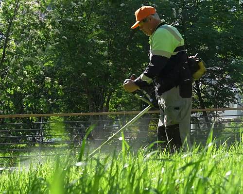 🌳 В Пушкинском 30 общественных пространств общей площадью более 1,8 млн кв. м - это парки, скверы, площади, которые ежедневно посещают тысячи жителей. Коммунальные службы округа регулярно выполняют…